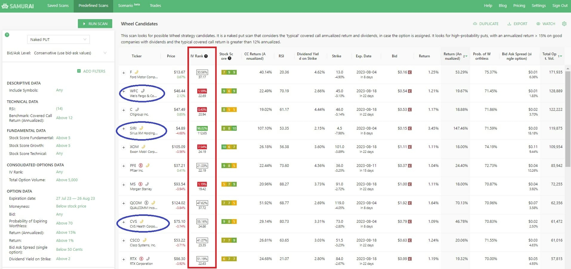 IV Percentile in Options Screener